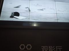 -星河寰宇IMAX影城(星河WORLD·COCO Park店)