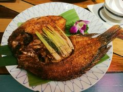 -紫滇源云南生态菜(丹凤街店)