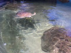 -江和美海洋公园