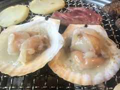 -虎焱炭火烧肉