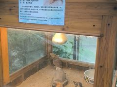 -上海大自然野生昆虫馆(东方明珠·爬宠昆虫探索中心)
