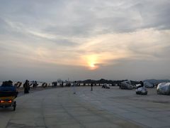 -演武大桥观景平台