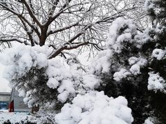 -YAFEE雅菲·粤菜·湘菜·融合菜(魏公村店)