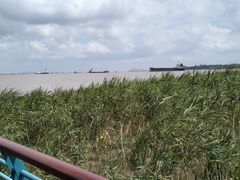 -上海吴淞炮台湾国家湿地公园