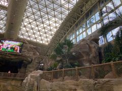 -杭州开元森泊度假乐园