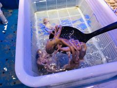 -澜悦港海鲜体验主题餐厅