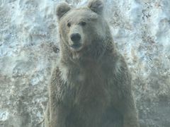 -新疆天山野生动物园