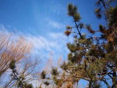 -金石唐风国际温泉会馆