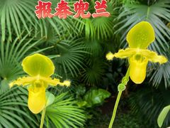 -国家植物园