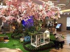 -上海月星家居(澳门路店)