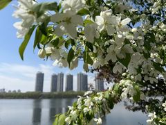 -长白岛森林公园