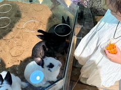 -大连圣亚海洋世界