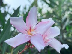 -万科前海企业公馆