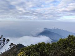 -梧桐山风景名胜区