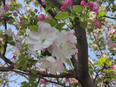 -元大都城垣遗址公园