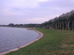 android_upload_pic-丁香湖公园