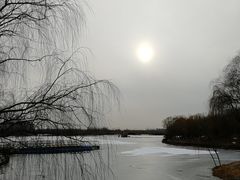 -大兴滨河森林公园