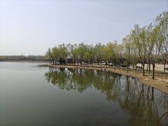 -东郊湿地公园