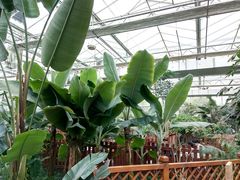 -汤山翠谷生态餐厅