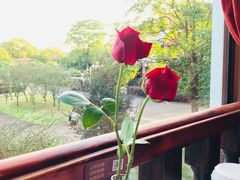 -橘洲1910花园江景西餐厅