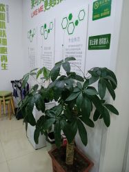 -莱可美科技美肤