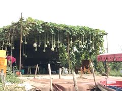 -白洋淀景区
