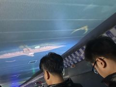 -白鹤梁水下博物馆
