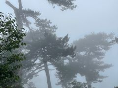 -妙峰山风景名胜区
