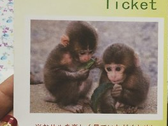 -岚山猴子公园
