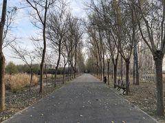 -东郊湿地公园