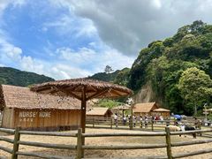 -龙岩森林水乡景区