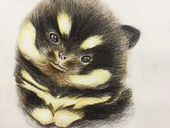 -东方童画少儿美术(莘庄体验馆)