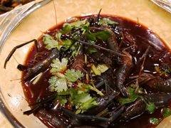 炝河虾-阿莉餐厅(枣阳路店)