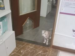 -宠爱国际动物医院·疑难骨科·心肾内科·皮肤科(太阳宫店)