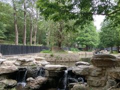 -白水寺森林公园