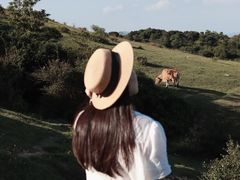 -大姆山草场