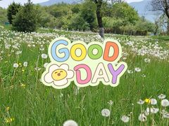 -青峰峡国家森林公园