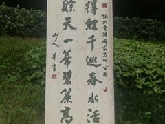 -重庆彩云湖湿地公园