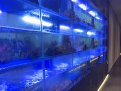 -隆聚时令海鲜(一舟店)