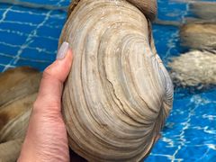 -新丁香海鲜酒店(银海商贸城店)