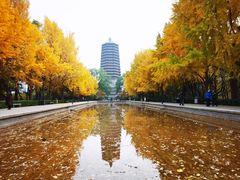 -玲珑塔公园