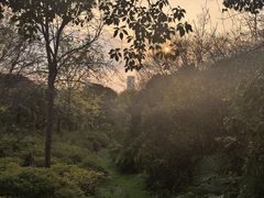 -合肥野生动物园