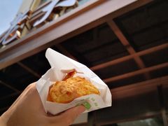 -狗撵鸭(泰山公寓店)