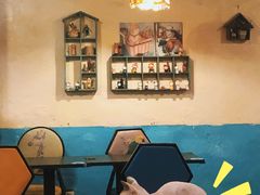 -猫小院猫主题咖啡厅(北锣店)