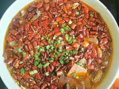 -陈麻婆豆腐总店