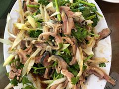 -教师之家赵家羊汤馆(东青龙街店)
