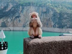 -白帝城·瞿塘峡景区