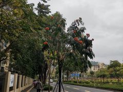 -观澜湖生态运动公社