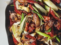 -蘑统田下·野生菌火锅