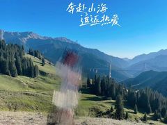 -果子沟大桥
